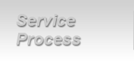 Service Process